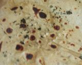 A picture of step 2 of Better naan.