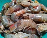 Gambar langkah 1 resipi Udang Galah Masak Lemak Cili Api.