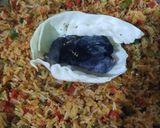 A picture of step 8 of Smoky schezwan Fried Rice.