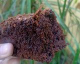 Foto langkah ke 6 dari resep Fudgy brownie no mixer takaran sendok.