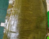 Foto del paso 4 de la receta: Tamales Peruanos (Entrada) 🇵🇪