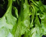 A picture of step 1 of Spinach Paneer Sandwich.