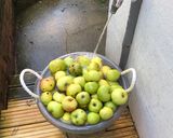 A picture of step 1 of 8 litres juice from 28 litres bucket full of apples.