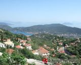 Φωτογραφία βήματος 32 της συνταγής Είναι γάλακτος και είναι... “τσι Κατίνας”
