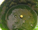A picture of step 1 of Bathua poori.