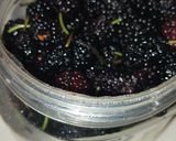 عکس مرحله 6 از دستور کیک خونگی