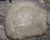 Foto del paso 4 de la receta: Roll de harina integral y manzana 🍎