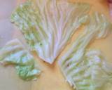 Stuffed Cabbage recipe step 11 photo