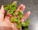 Une image de l'étape 3 de Rouleaux de printemps aux crevettes.