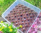Foto langkah ke 5 dari resep 💞 Bolu Panggang Susu Milo 💞.
