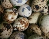 Foto langkah ke 1 dari resep Sate telur legit ala angkringan.