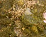 ગ્રીન સબ્જી (Green Sabji Recipe In Gujarati) રેસીપી સ્ટેપ6ફોટો