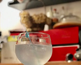 Foto del paso 6 de la receta: GT con ginebra casera doble destilada