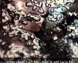 صورة لخطوة 2 من وصفة بينك صوص بالمكرونه