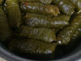 محشي ورق العنب