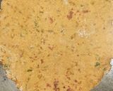 ખીચડી ની મસાલા રોટલી (Khichdi Masala Rotli Recipe In Gujarati) રેસીપી સ્ટેપ3ફોટો
