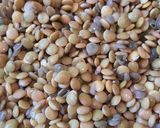 Foto del paso 5 de la receta: Arepitas de lentejas