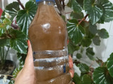ترشی آلو جنگلی😍