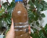 عکس مرحله 4 از دستور ترشی آلو جنگلی😍