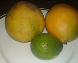 Mangó sorbet recept fázis 5 fotója