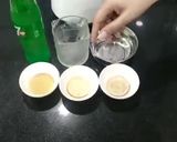 A picture of step 4 of Mint margarita.