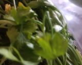 Foto del paso 1 de la receta: Sopa aguada con acelgas