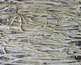 Foto del paso 8 de la receta: Fideos verdes