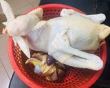 Hình bước làm 1 của món Hủ tiếu gà ta