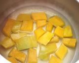 A picture of step 1 of Pumpkin soup.