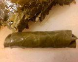 عکس مرحله 8 از دستور دلمه برگ مو لبنانی (ورق عنب -wara anab)