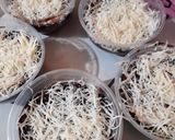 Foto langkah ke 6 dari resep Bolu rasa brownies.