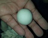 Foto langkah ke 4 dari resep Bakso aci isi telur puyuh dan keju.