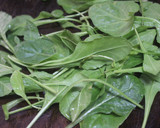 Foto del paso 5 de la receta: Ensalada de calabacín crudo