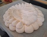 Une image de l'étape 3 de Pavlova.