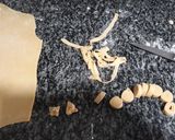 Foto del paso 5 de la receta: Pasta fresca de sémola de trigo y harina