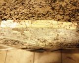 Foto del paso 2 de la receta: Rollo de manteca condimentada