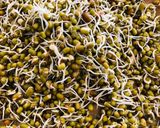 A picture of step 1 of Rich protein drink.