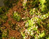 A picture of step 2 of Cluster Beans(gawar) Kofta.