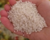 Foto del paso 4 de la receta: Arroz con verduras