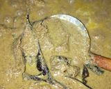 Foto langkah ke 3 dari resep Rendang sapi.