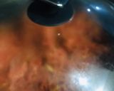 A picture of step 2 of Gajar ka halwa.