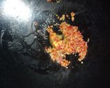 Foto langkah ke 3 dari resep Nasi Goreng Menjelang Subuh.