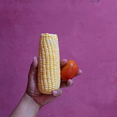 Langkah 3
