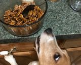 Foto del paso 3 de la receta: Nueces caramelizadas