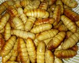 Hình bước làm 1 của món Nhộng Tằm Rang Lá Chanh Thái (Lá Chúc)