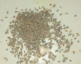 A picture of step 4 of Chickpea salad.
