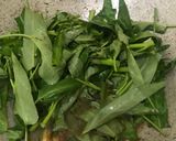 Foto langkah ke 2 dari resep [181] Tumis Cah Kangkung Bawang Putih.