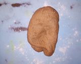 A picture of step 3 of Rich brown bread.