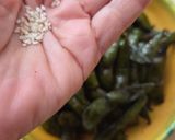 Foto del paso 5 de la receta: Edamames enchilados 🫛 Vainas de soja verde con chile jalapeño 🌶️ y sal al Malbec 🍷
