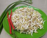 Foto langkah ke 1 dari resep Tumis toge bawang kembang.